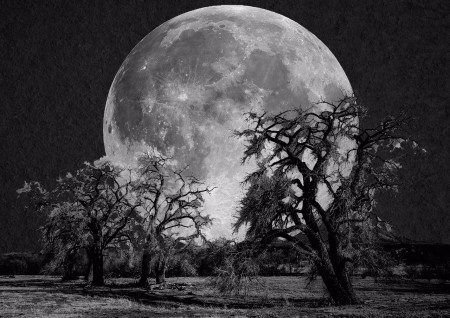 Criação de uma imagem com várias camadas sobrepostas, utilizando as ferramentas de seleção, correção e efeitos